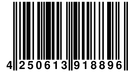 4 250613 918896