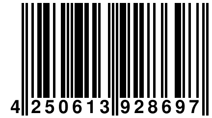 4 250613 928697