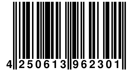 4 250613 962301