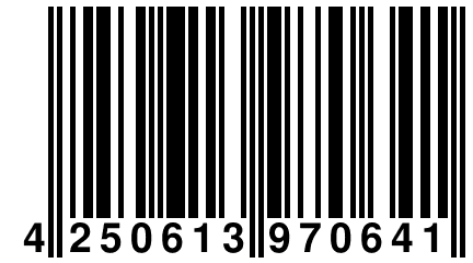 4 250613 970641