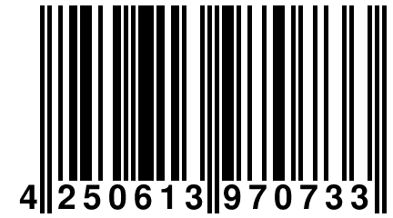 4 250613 970733