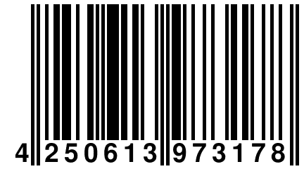 4 250613 973178