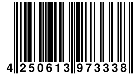 4 250613 973338