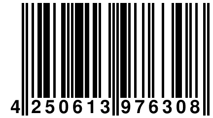 4 250613 976308