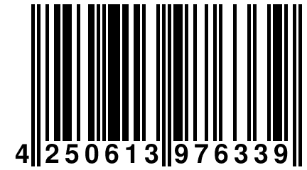 4 250613 976339