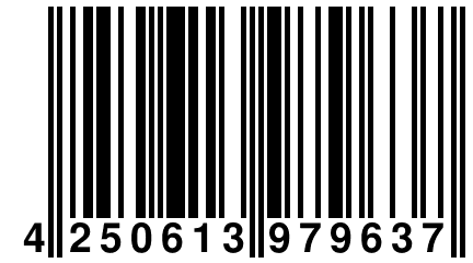 4 250613 979637