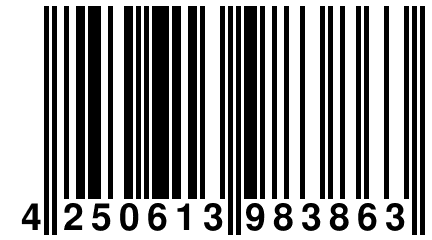 4 250613 983863