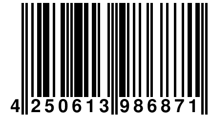 4 250613 986871