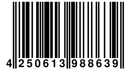 4 250613 988639