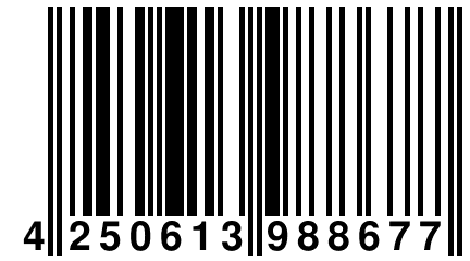 4 250613 988677