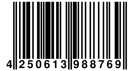 4 250613 988769