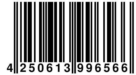 4 250613 996566