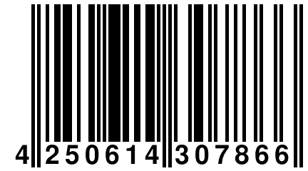 4 250614 307866