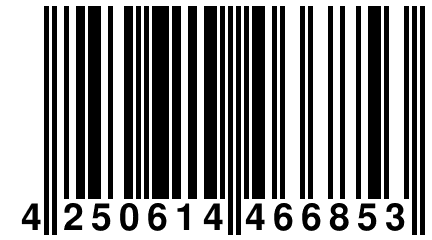 4 250614 466853