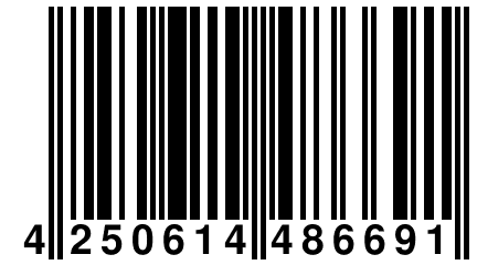 4 250614 486691