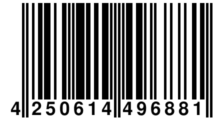 4 250614 496881