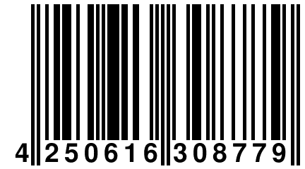 4 250616 308779