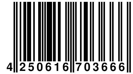 4 250616 703666