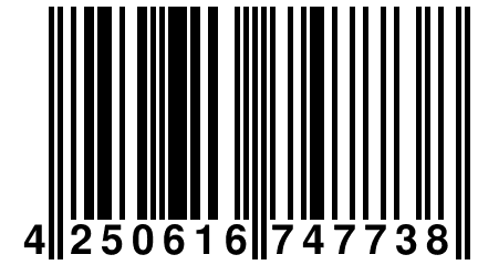 4 250616 747738