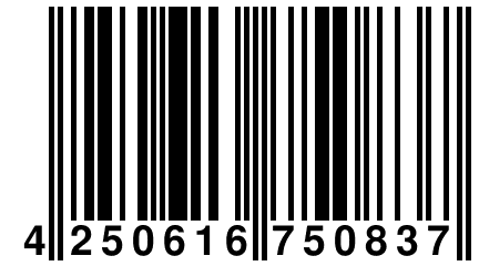 4 250616 750837