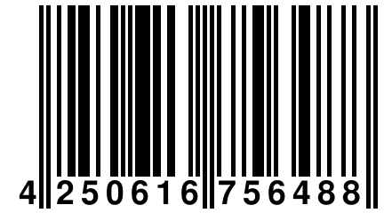 4 250616 756488