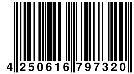 4 250616 797320