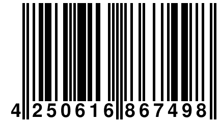 4 250616 867498