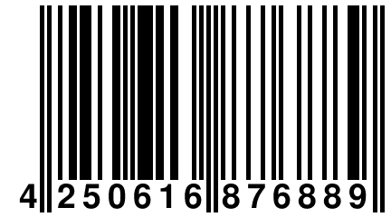 4 250616 876889