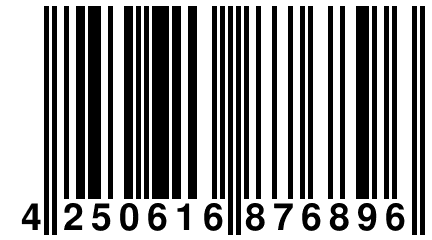 4 250616 876896