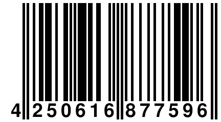 4 250616 877596