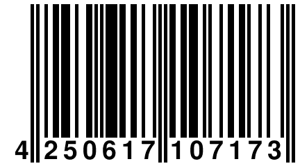 4 250617 107173