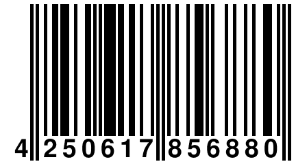 4 250617 856880