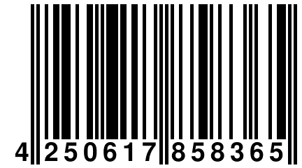 4 250617 858365