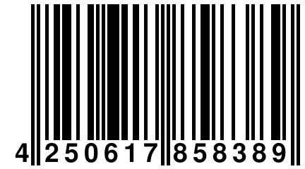 4 250617 858389