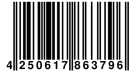 4 250617 863796