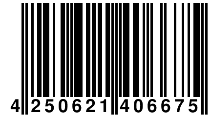 4 250621 406675