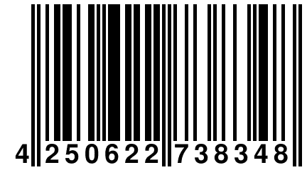 4 250622 738348