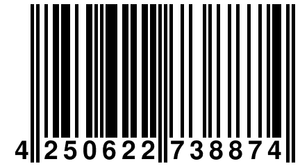 4 250622 738874