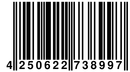 4 250622 738997