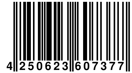 4 250623 607377