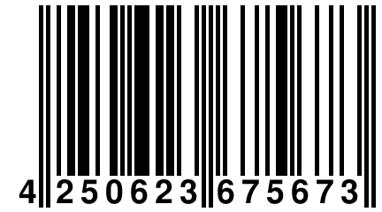 4 250623 675673