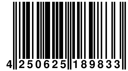 4 250625 189833