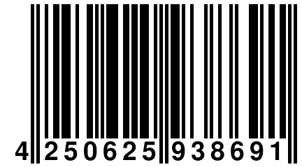 4 250625 938691