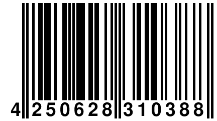 4 250628 310388