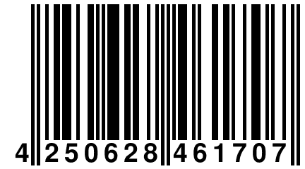 4 250628 461707