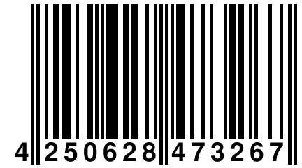 4 250628 473267