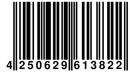 4 250629 613822