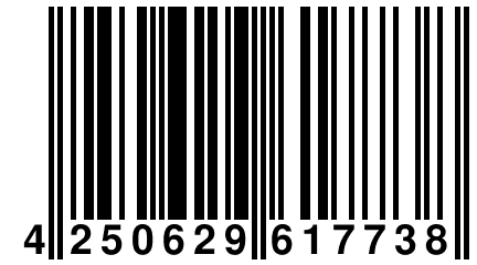 4 250629 617738