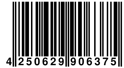 4 250629 906375