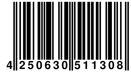 4 250630 511308